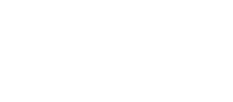 WordPress Winner 2024 TechBehemoths Awards